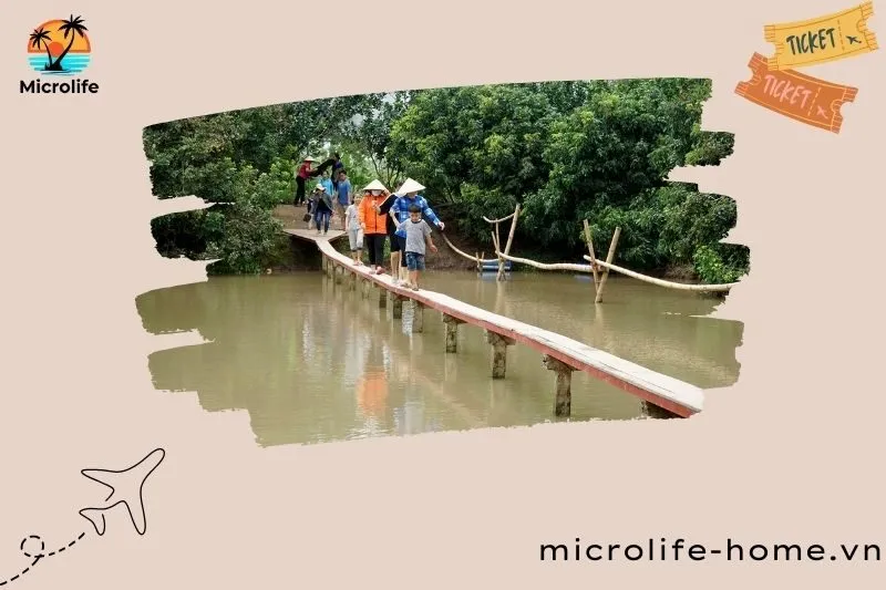cu-lao-may-vinh-long-la-gi-vi-sao-noi-day-thu-hut-du-khach