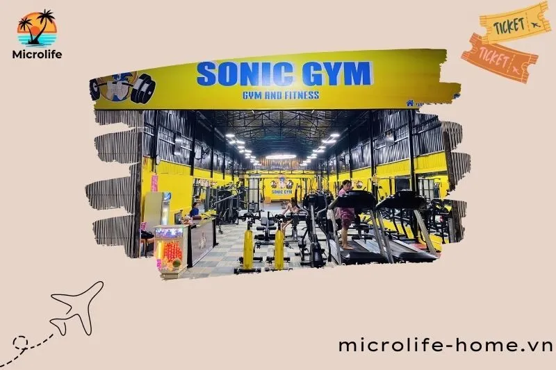 sonic-gym